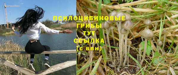 mix Бородино