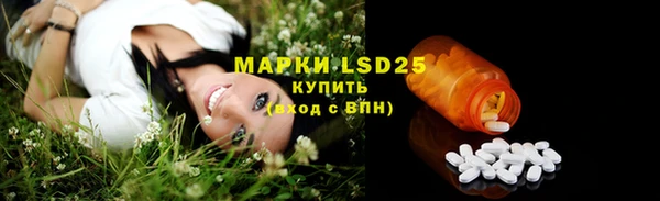 mix Бородино