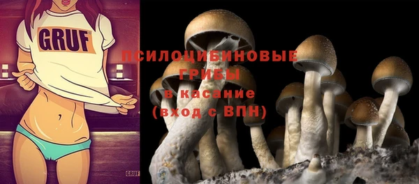 эйфоретик Бугульма