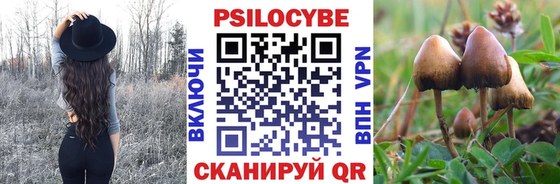 Галлюциногенные грибы Magic Shrooms  Новотроицк 
